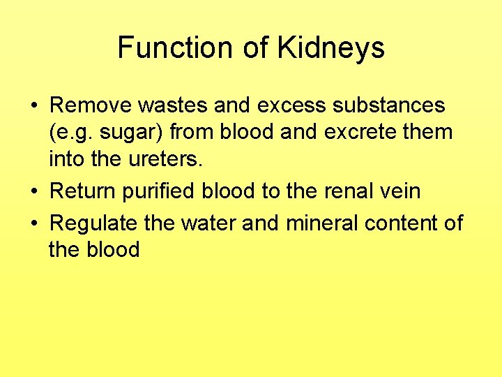 Function of Kidneys • Remove wastes and excess substances (e. g. sugar) from blood