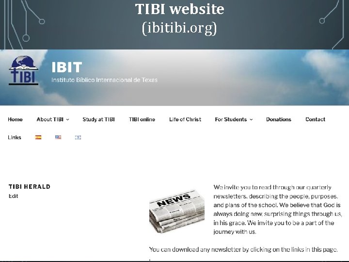 TIBI website (ibitibi. org) 