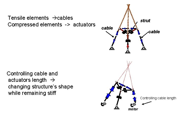 Tensile elements cables Compressed elements -> actuators strut cable Controlling cable and actuators length