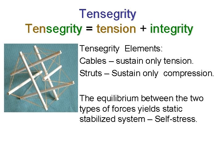 Tensegrity = tension + integrity Tensegrity Elements: Cables – sustain only tension. Struts –