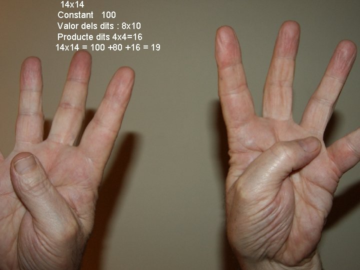 14 x 14 Constant 100 Valor dels dits : 8 x 10 Producte dits