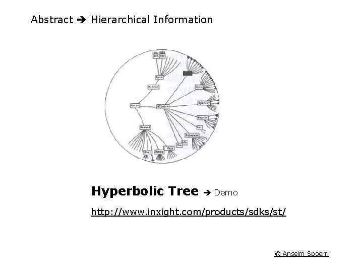 Abstract Hierarchical Information Hyperbolic Tree Demo http: //www. inxight. com/products/sdks/st/ © Anselm Spoerri 