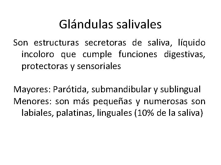 Glándulas salivales Son estructuras secretoras de saliva, líquido incoloro que cumple funciones digestivas, protectoras