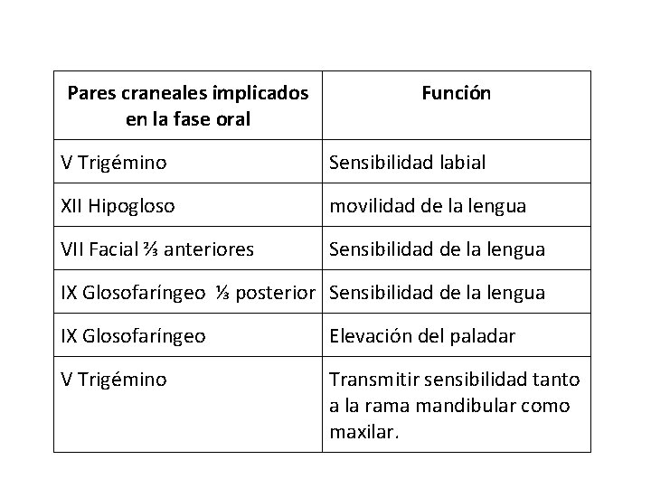 Pares craneales implicados en la fase oral Función V Trigémino Sensibilidad labial XII Hipogloso