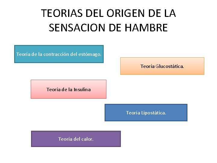 TEORIAS DEL ORIGEN DE LA SENSACION DE HAMBRE Teoría de la contracción del estómago.