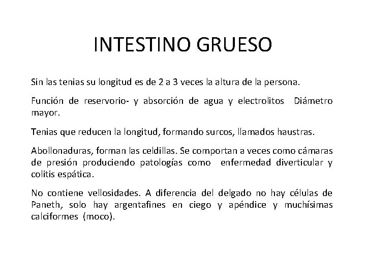 INTESTINO GRUESO Sin las tenias su longitud es de 2 a 3 veces la