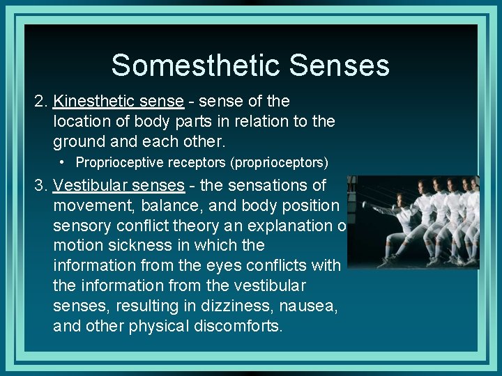 Somesthetic Senses 2. Kinesthetic sense - sense of the location of body parts in