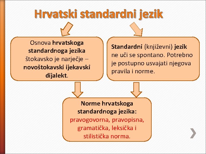 Hrvatski standardni jezik Osnova hrvatskoga standardnoga jezika štokavsko je narječje – novoštokavski ijekavski dijalekt.