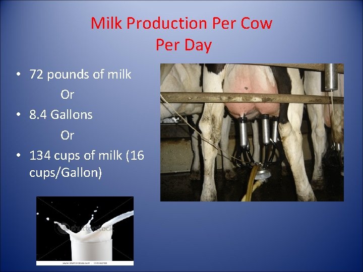 Milk Production Per Cow Per Day • 72 pounds of milk Or • 8.