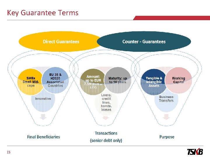 Key Guarantee Terms 15 