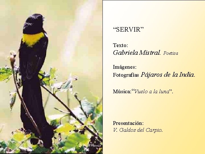 “SERVIR” Texto: Gabriela Mistral. Poetisa Imágenes: Fotografías Pájaros de la India. Música: “Vuelo a