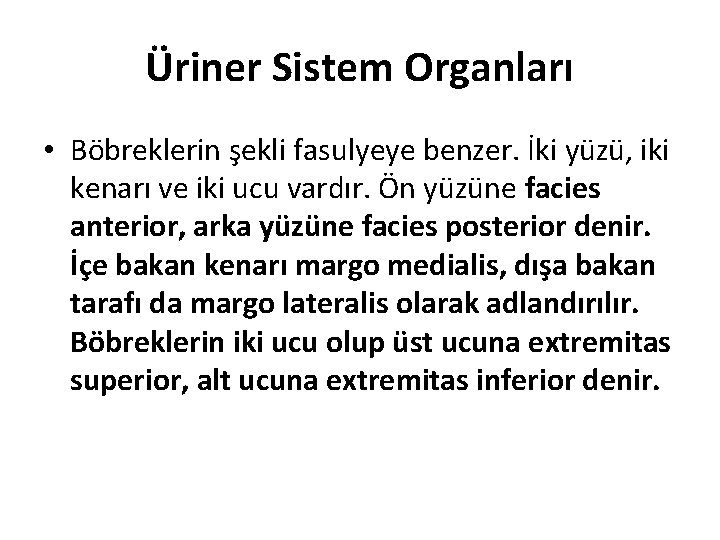 Üriner Sistem Organları • Böbreklerin şekli fasulyeye benzer. İki yüzü, iki kenarı ve iki