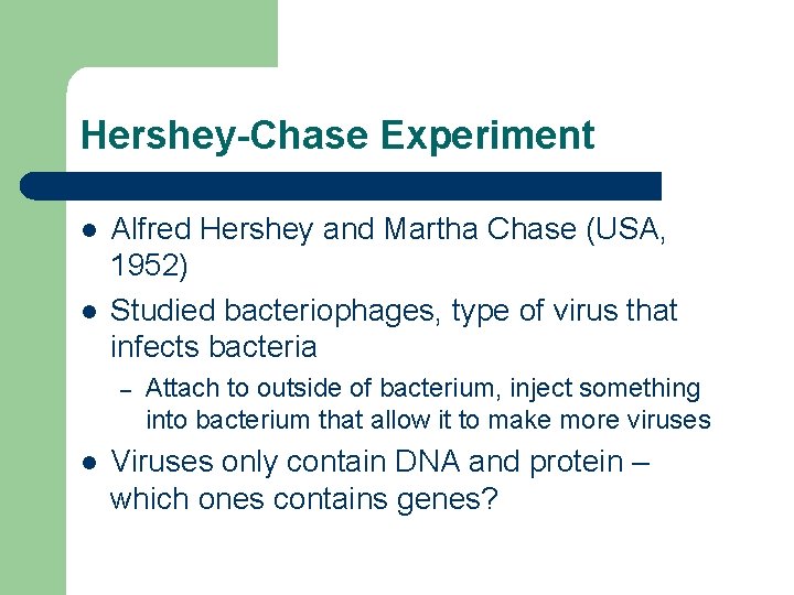 Hershey-Chase Experiment l l Alfred Hershey and Martha Chase (USA, 1952) Studied bacteriophages, type Hershey-Chase Experiment l l Alfred Hershey and Martha Chase (USA, 1952) Studied bacteriophages, type