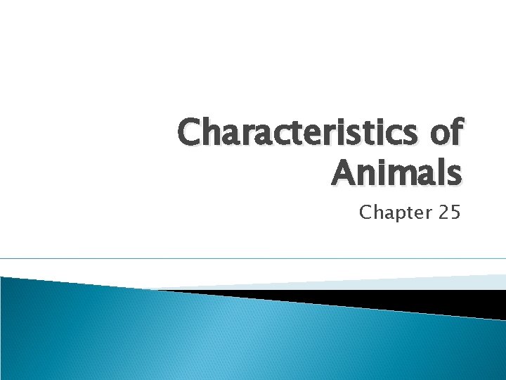 Characteristics of Animals Chapter 25 