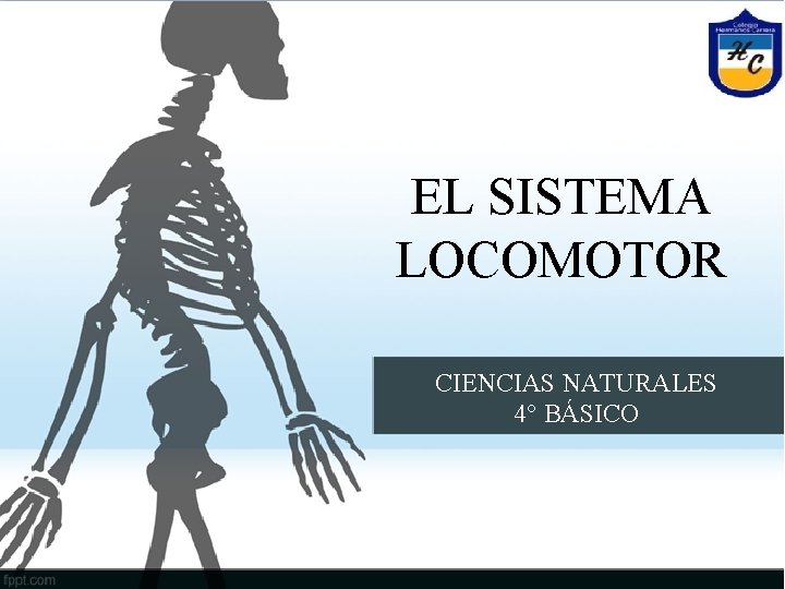 El EL SISTEMA sistema. LOCOMOTOR locomotor PARTE 2 CIENCIAS NATURALES 4° BÁSICO 