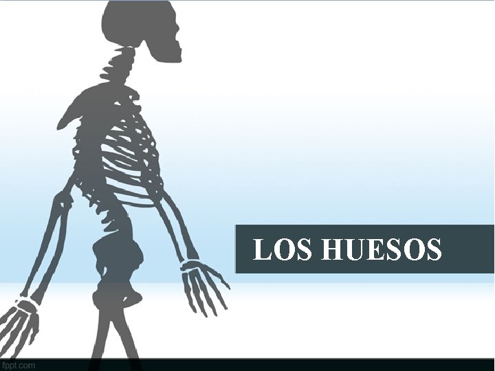 LOS HUESOS 