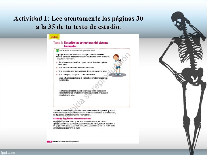 Actividad 1: Lee atentamente las páginas 30 a la 35 de tu texto de