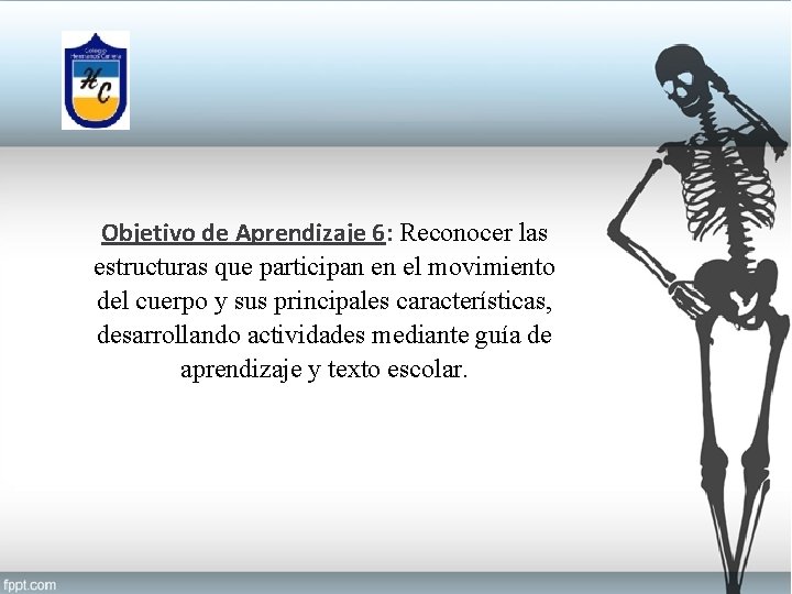 Objetivo de Aprendizaje 6: Reconocer las estructuras que participan en el movimiento del cuerpo