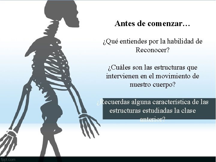 Antes de comenzar… ¿Qué entiendes por la habilidad de Reconocer? ¿Cuáles son las estructuras
