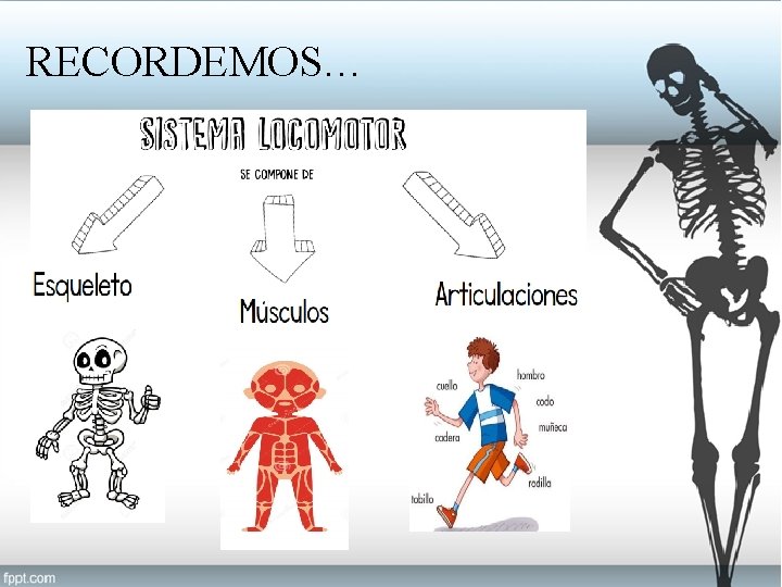 RECORDEMOS… 