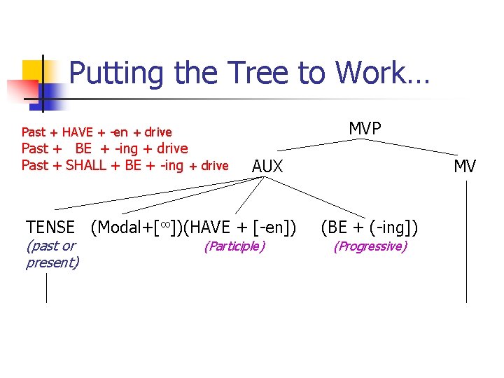 Putting the Tree to Work… MVP Past + HAVE + -en + drive Past