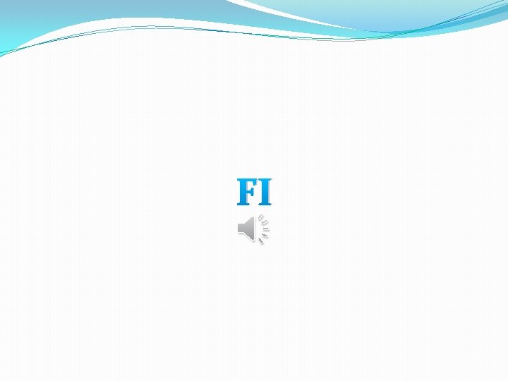 FI 