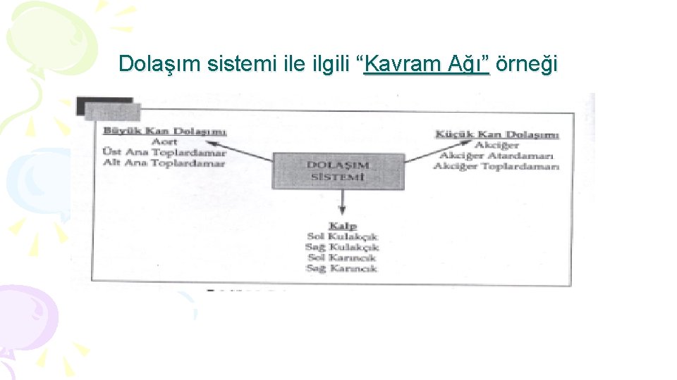 Dolaşım sistemi ile ilgili “Kavram Ağı” örneği 