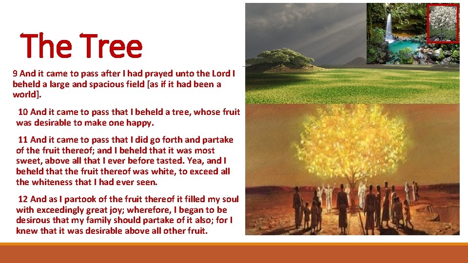 The Tree 9 And it came to pass after I had prayed unto the