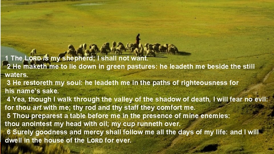 Psalm 23 1 The LORD is my shepherd; I shall not want. 2 He