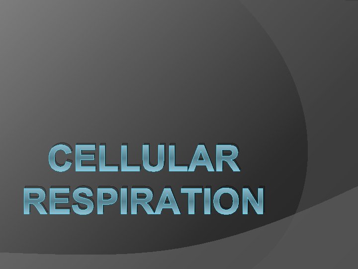 CELLULAR RESPIRATION 