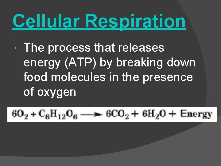 Cellular Respiration The process that releases energy (ATP) by breaking down food molecules in