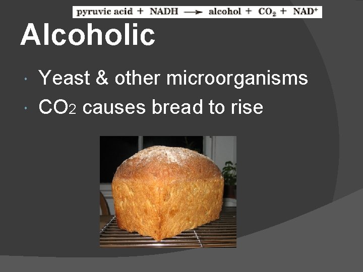 Alcoholic Yeast & other microorganisms CO 2 causes bread to rise 
