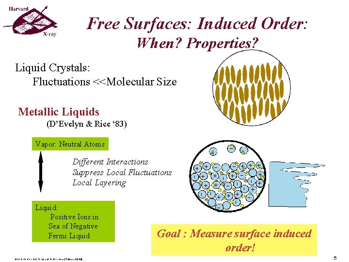 Free Surfaces: Induced Order: When? Properties? Liquid Crystals: Fluctuations <<Molecular Size Metallic Liquids (D’Evelyn Free Surfaces: Induced Order: When? Properties? Liquid Crystals: Fluctuations <<Molecular Size Metallic Liquids (D’Evelyn