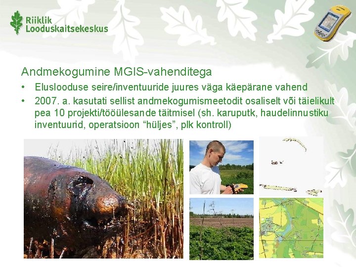 Andmekogumine MGIS-vahenditega • Eluslooduse seire/inventuuride juures väga käepärane vahend • 2007. a. kasutati sellist