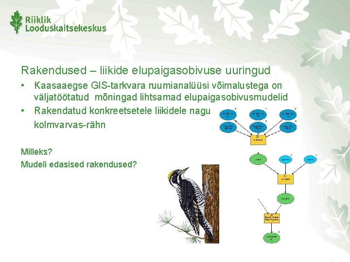 Rakendused – liikide elupaigasobivuse uuringud • Kaasaaegse GIS-tarkvara ruumianalüüsi võimalustega on väljatöötatud mõningad lihtsamad