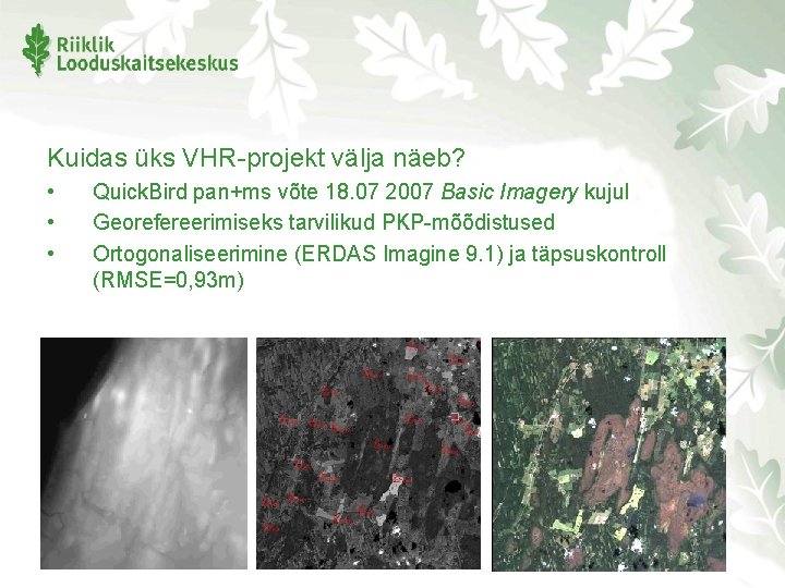 Kuidas üks VHR-projekt välja näeb? • • • Quick. Bird pan+ms võte 18. 07