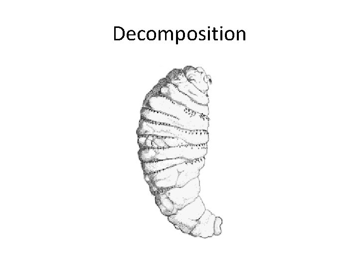 Decomposition 