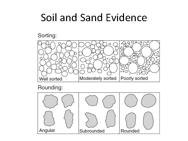 Soil and Sand Evidence 