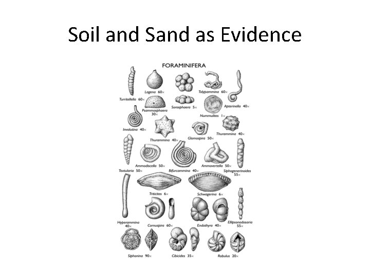 Soil and Sand as Evidence 