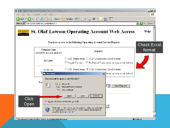 Check Excel format Click Open 