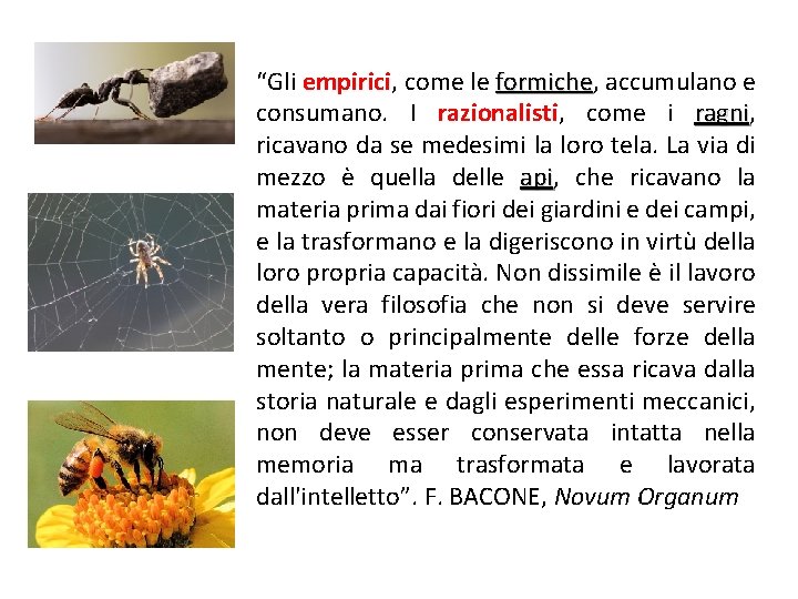 “Gli empirici, come le formiche, formiche accumulano e consumano. I razionalisti, come i ragni,