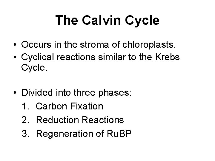 The Calvin Cycle • Occurs in the stroma of chloroplasts. • Cyclical reactions similar