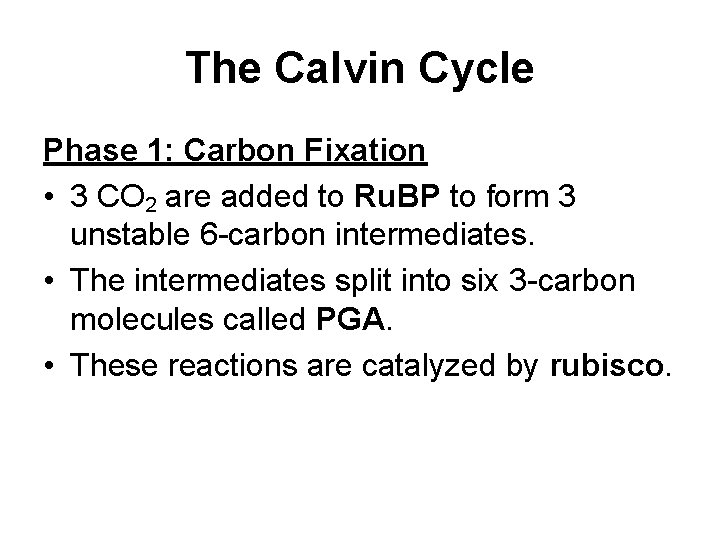 The Calvin Cycle Phase 1: Carbon Fixation • 3 CO 2 are added to