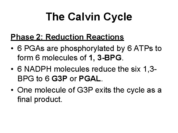 The Calvin Cycle Phase 2: Reduction Reactions • 6 PGAs are phosphorylated by 6