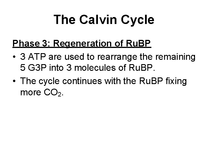 The Calvin Cycle Phase 3: Regeneration of Ru. BP • 3 ATP are used