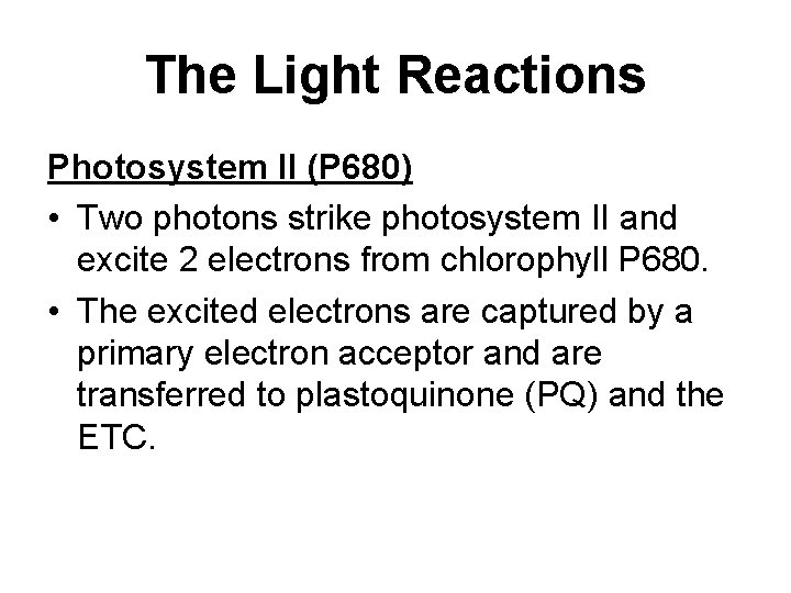 The Light Reactions Photosystem II (P 680) • Two photons strike photosystem II and