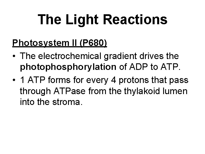 The Light Reactions Photosystem II (P 680) • The electrochemical gradient drives the photophosphorylation