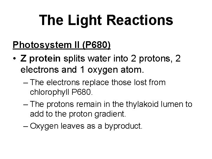 The Light Reactions Photosystem II (P 680) • Z protein splits water into 2