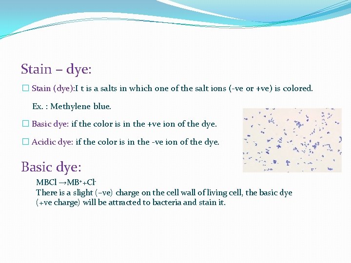 Stain – dye: � Stain (dye): I t is a salts in which one