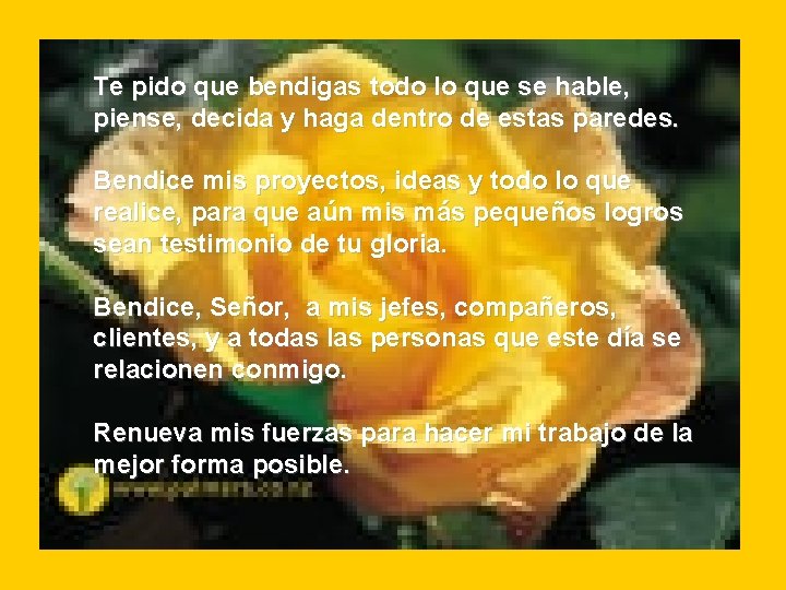 Te pido que bendigas todo lo que se hable, piense, decida y haga dentro Te pido que bendigas todo lo que se hable, piense, decida y haga dentro